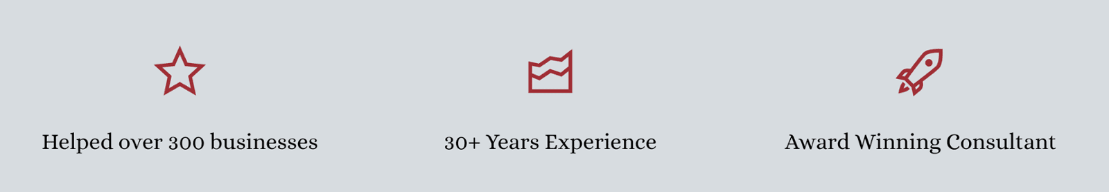 Helped over 300 businesses, 30+ Years Experience, Award Winning Consultant