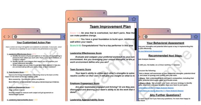 Take your business to the next level with our Team Improvement Plan. Start on the right path to gain competitive advantage.